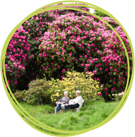 Visitors enjoying the grounds